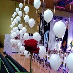ściana z balonów z helem przygotowana na event festiwal kolej na kobiety