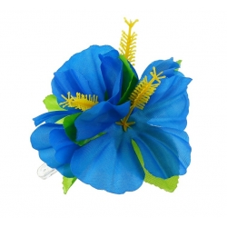 Spinka hawajski niebieski kwiat